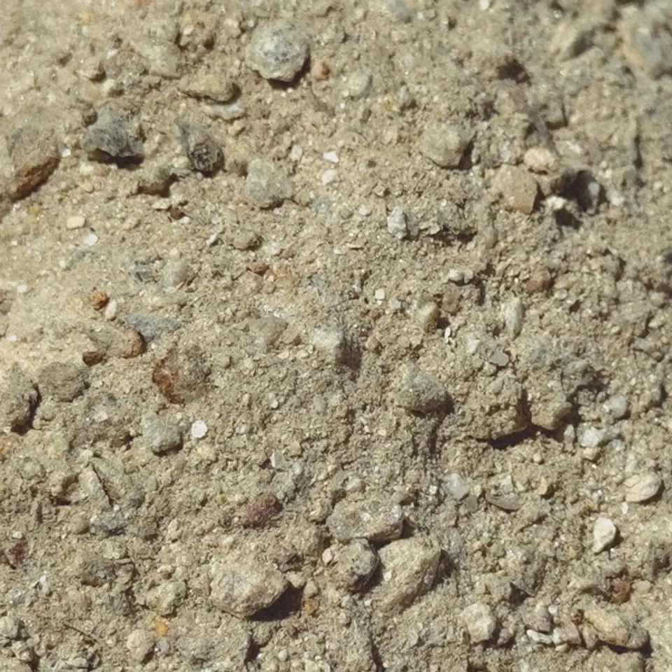 DG Gold