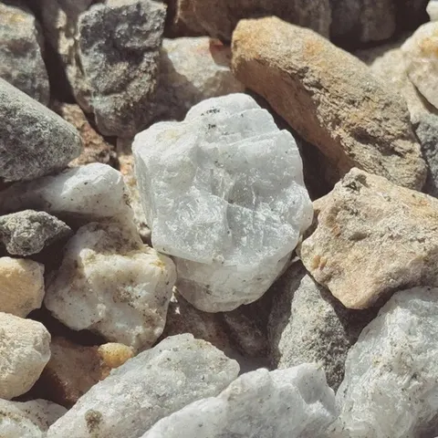 3/4 Common Grey